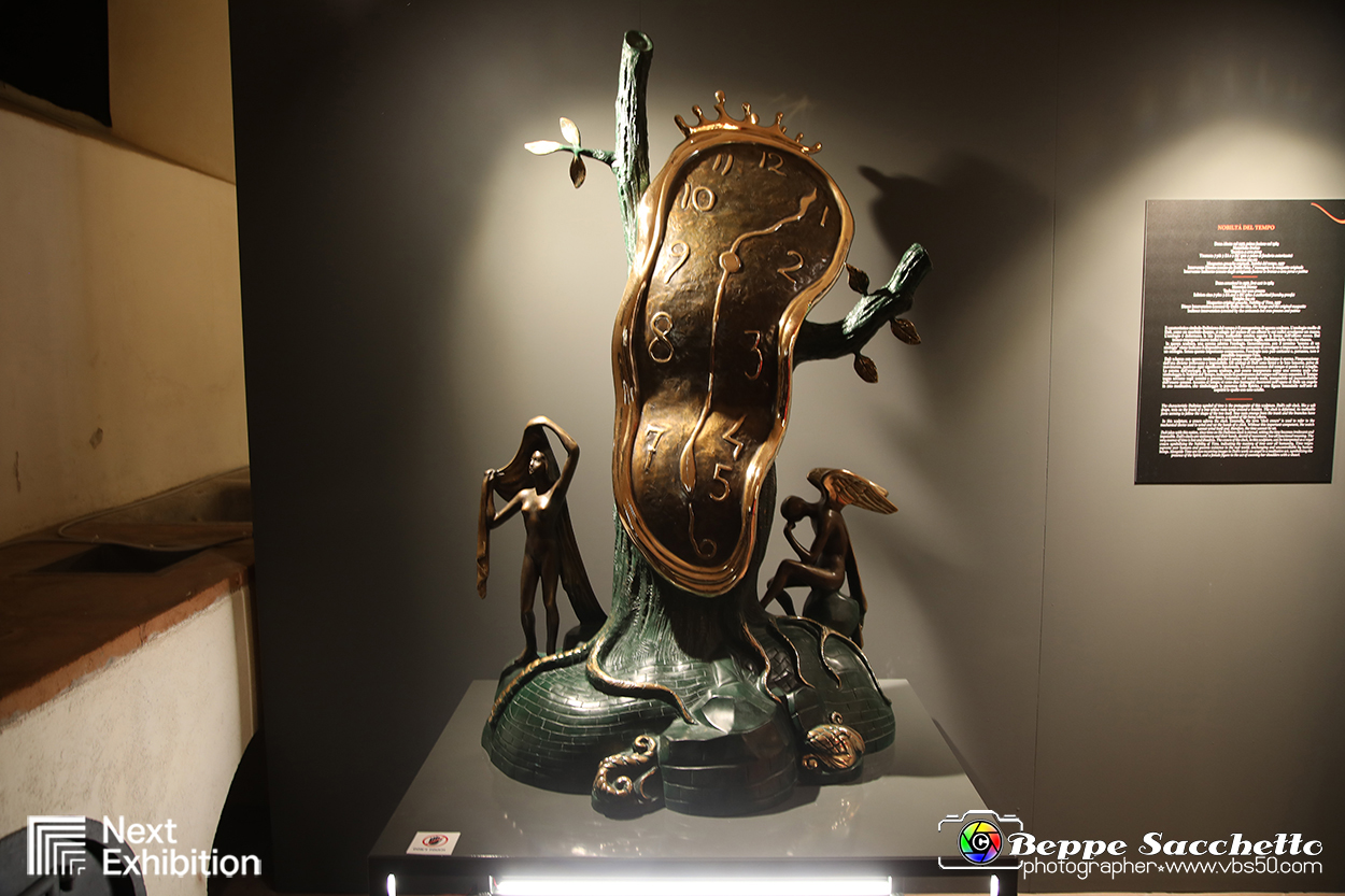 VBS_7700 - Salvador Dalì - The Exhibition.jpg